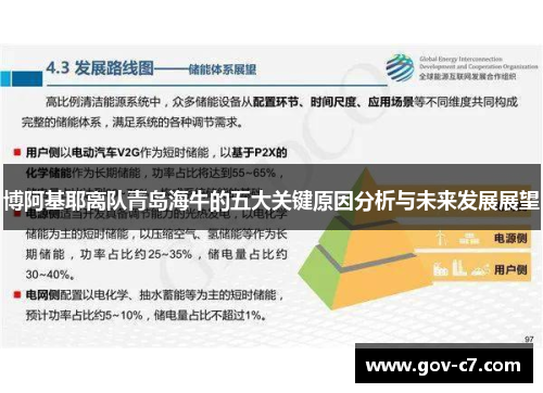 博阿基耶离队青岛海牛的五大关键原因分析与未来发展展望