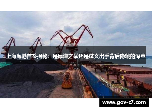 上海海港首签揭秘：是厚道之举还是仗义出手背后隐藏的深意