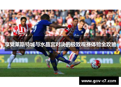 享受莱斯特城与水晶宫对决的极致观赛体验全攻略