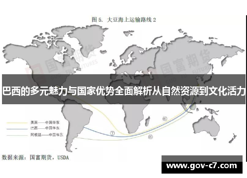 巴西的多元魅力与国家优势全面解析从自然资源到文化活力