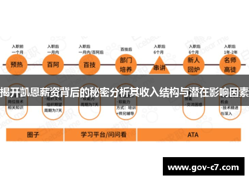 揭开凯恩薪资背后的秘密分析其收入结构与潜在影响因素
